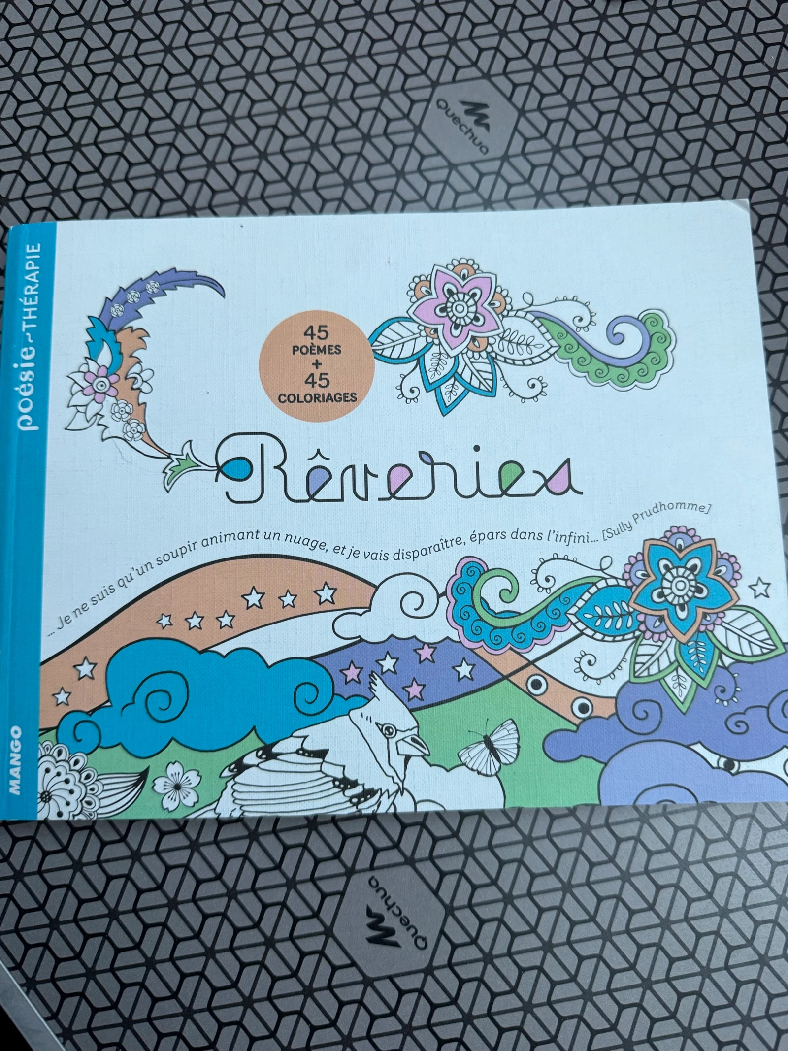 Poésie thérapie 45 poèmes + 45 coloriages RÊVERIES